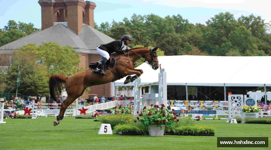 摩根综合体育官网跃动青春，激情体育